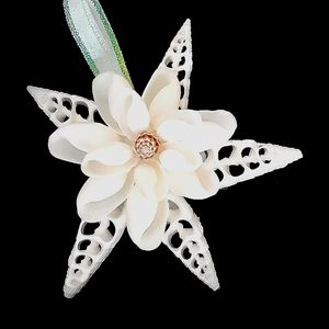 Seashell creations ornaments & decor